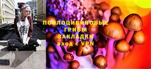 тгк Нея