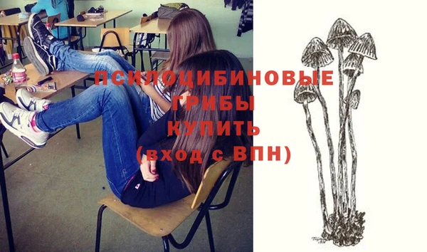 скорость Новокубанск