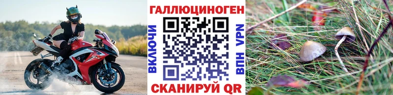 Галлюциногенные грибы Magic Shrooms  Болхов 