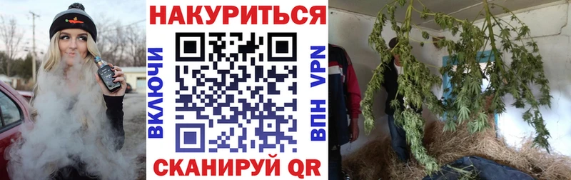 Каннабис семена  Болхов 